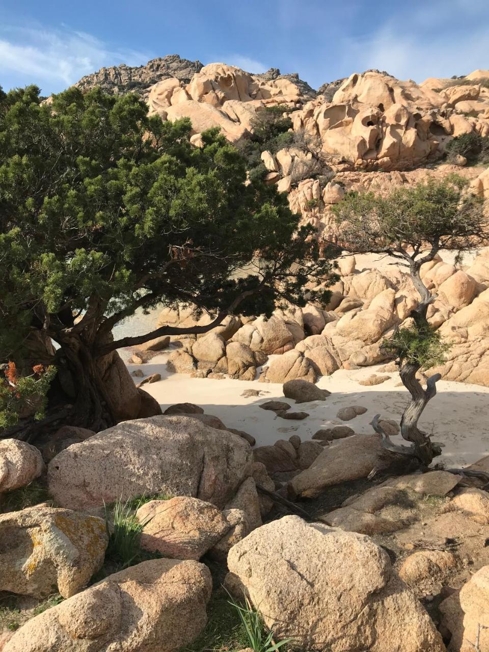 Hotel La Lampara Golfo Aranci Εξωτερικό φωτογραφία